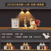 XLYS/欣兰雅舍 手扫感应LED灯条 USB充电磁吸免布线 橱柜衣柜灯