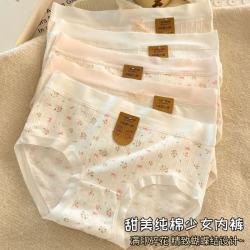 有只绵 纯棉女士内裤全棉三角内裤