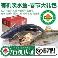 太湖海 有机江团鱼 鲜活现杀 长吻鮠 礼盒装