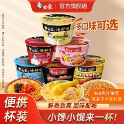 白象 mini杯汤好喝小桶泡面
