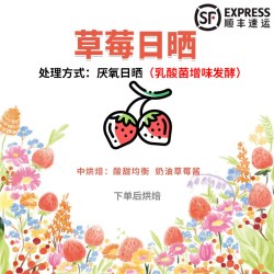 滇潞 草莓日晒咖啡豆 250g 中度烘焙