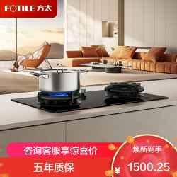 方太 燃气灶TE30煤气灶双灶猛火 家用厨房灶具 智能定时语音灶大火力 天然气燃气灶双灶台