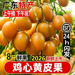 乐梦鲜 广东鸡心黄皮果郁南黄皮新鲜水果酸甜果现摘当季