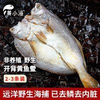 黄小渔 南美海捕黄鱼鲞450g/2-3条三去大黄鱼黄花鱼生鲜鱼类烤鱼烧烤食材