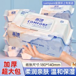蓝漂 湿巾纸婴儿手口专用80抽大包家用家庭实惠装儿童柔韧亲肤清洁纸巾