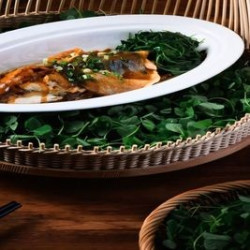 甄选套餐500元/位（8-10位）