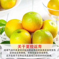 京鲜生 夏橙 10斤 橙子
