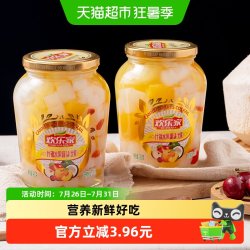 欢乐家 北果什锦水果罐头 900g