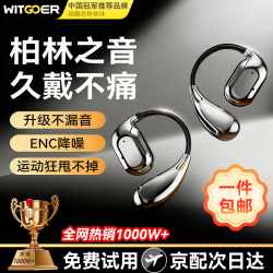 智国者 柏林之声级音质 蓝牙耳机  挂耳黑色 有线充电 Type-C