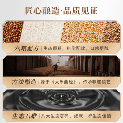 舍得 沱牌东方传承 52度浓香型白酒