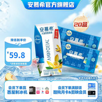 伊利 安慕希希腊经典风味常温酸奶整箱牛奶乳品营养早餐  香草味205g*10盒*2箱 5-6月