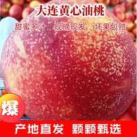 鲜姿 大连红油桃丑黄肉油桃子 油桃4.5斤【单果约100-150g】