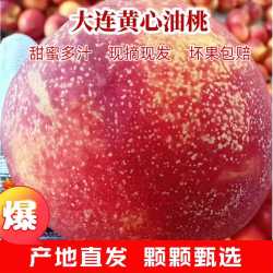 鲜姿 大连红油桃丑黄肉油桃子 油桃4.5斤【单果约100-150g】
