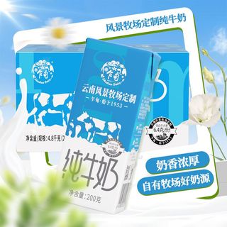 6月上旬200g*24盒云南乍甸风景牧场纯牛奶儿童早餐奶整箱