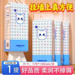 丹娜丝 dodoma 悬挂式抽纸 家用实惠装 1000张 4层 170x130mm 原生木浆 柔韧亲肤