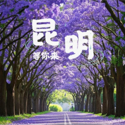 雲美精品民宿酒店（昆明长水机场店）1晚