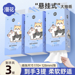 漫花 悬挂式抽纸 卫生纸 抽取式面巾纸 家用实惠