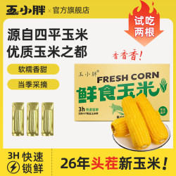 玉小胖 吉林 四平 黄糯玉米 250g*10根