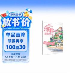 神州寻宝历险记 河北寻宝历险记  6-12岁暑期读物 科普百科 儿童科普 寻宝记 非遗传承宝藏探险书 科普漫画书