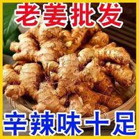 当季生姜小黄姜农家自种月子姜新鲜现挖生姜农家老姜块整箱包邮