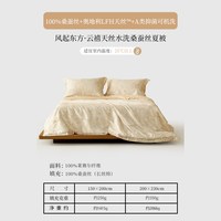 水星家纺 风起东方·云禧 XY51KP01 夏被 150cm×200cm 100%桑蚕丝 可机洗 A类抑菌