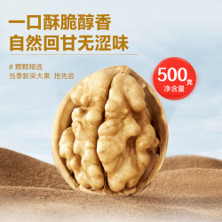 坚芽乐 新疆薄皮核桃 原味生核桃 500克 2包