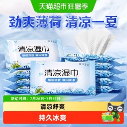 丽佳宝贝 包邮丽佳宝贝强劲清凉湿巾止汗冰爽清凉薄荷提神学生军训降温防暑