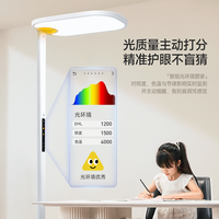 童视界 D6 AI大路灯 落地护眼灯 适用10-25㎡ 现代简约