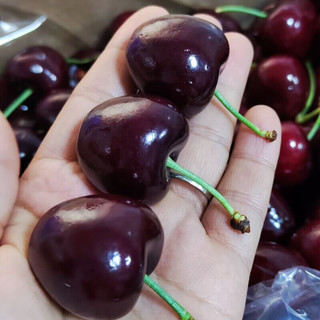 都乐 智利车厘子 2JD(28-30mm) 净重2斤 礼盒装