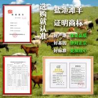 嘉谨 盐池滩羊羔羊卷 原切羊肉卷 2.5kg