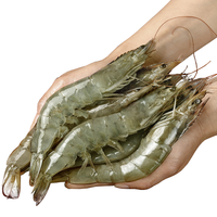 往牧 厄瓜多尔白虾 22-17cm 3斤(净重) 冷冻对虾