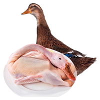鲁爷爷的农场 三年农家散养老鸭 生鲜鸭肉