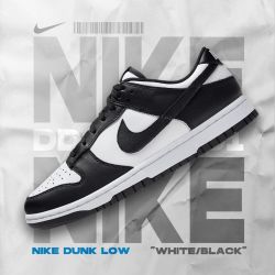 NIKE Dunk 女款板鞋 DD1503-101