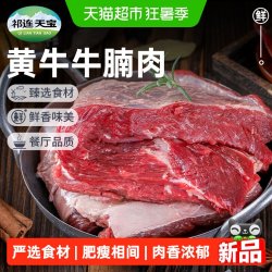 祁连天宝 黄牛牛腩肉原切整块牛腩肥瘦相间1000g
