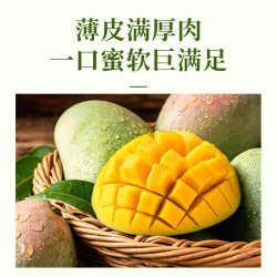 四川攀枝花凯特芒果净重4.5斤