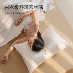 京东京造 云丝糯蚕丝枕 A类抑菌 枕芯48*74cm一只装