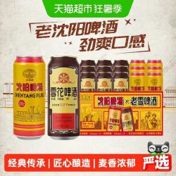 雪花 老雪混装 啤酒 500ml*15听