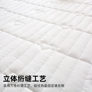 懒无限 A类四季床褥 1.8*2米 薄垫子