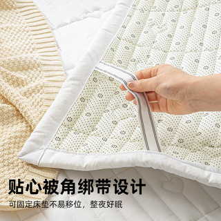 懒无限 A类四季床褥 1.8*2米 薄垫子