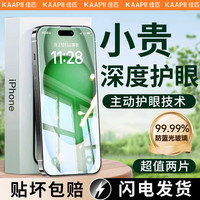 佳匹 iphone17Promax钢化膜适用苹果16Pro/15/14/13绿光超护眼2片+神器