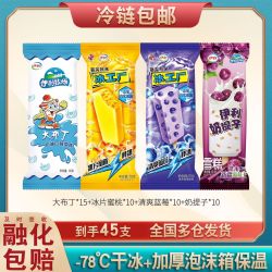 伊利 【45支伊利奶提子雪糕批发牧场冰激凌牛奶冰淇淋冰工厂蜜桃蓝莓