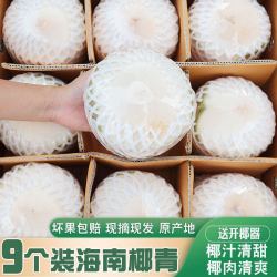 果甜暖 海南椰青 去皮椰子 2个装