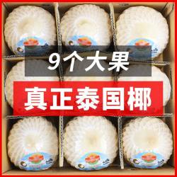 仙淘 泰国香水椰青 9个 700-800克