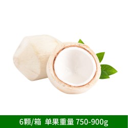 东方甄选 泰国椰青椰子 750-900g 6粒