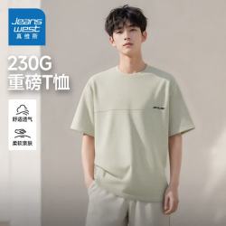 真维斯 男装 精梳棉短袖T恤 10款颜色任选