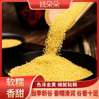 姚朵朵 山西黄小米 1kg*2盒