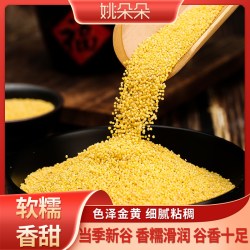 姚朵朵 山西黄小米 1kg*2盒