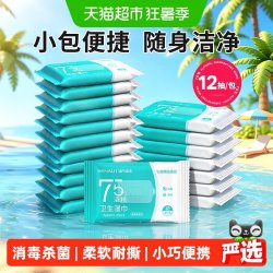 海氏海诺 75%酒精卫生消毒湿巾一次性户外皮肤清洁小包便携湿纸巾