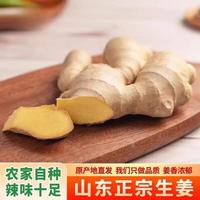 京喜 山东潍坊大片老姜新鲜现挖生姜 水洗 风干无土 黄姜烘干大姜3两起 山东大片姜带箱5斤