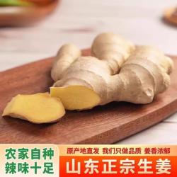 京喜 山东潍坊大片老姜新鲜现挖生姜 水洗 风干无土 黄姜烘干大姜3两起 山东大片姜带箱5斤